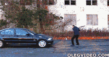 XMzVvqo.gif