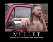 Mullet-Cover.jpg