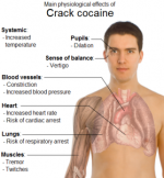 crack_cocaine_main_physiological_effects_image-279x300.png
