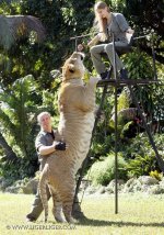 wBARCROFT_bm_sb_liger014.jpg