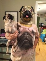 daily-morning-awesomeness-12.jpg
