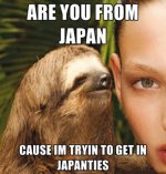 discover-funny-tapiture-iy6fi66.jpg