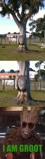 dirty-humor-22.jpg