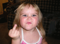 1.gif 1.gif