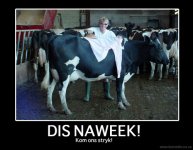 normal_Stryk_naweek_copy.jpg