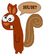 a-confused-squirrel.jpg
