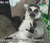 i-like-to-move-it-move-it.jpg
