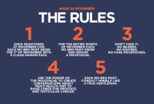 Rules_No_MH_620.jpg