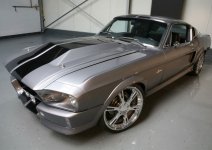 shelby.jpg
