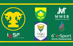 flag 6th IesF.png