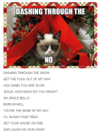 Dashing+through+the+no+oh+my+god+tumblr_7495cb_4248713.png