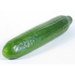cucumber-cont-500x500.jpg