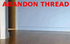 abandon-thread-gif-cats.gif