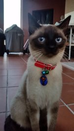 20150223_183149.jpg