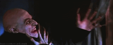 DJdr8v6x5X6HC.gif