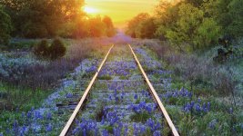 ws_Amazing_Rail_Road_1920x1080.jpg