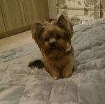 uploadfromtaptalk1430811881397.jpg