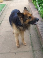 SAM_0727.jpg
