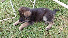20150518_151009.jpg