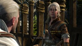 witcher3 2015-05-21 19-30-48-49.jpg