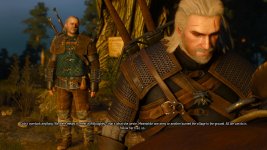 witcher3 2015-05-21 19-41-43-94.jpg