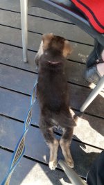 20150519_103836.jpg