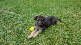 20150522_101007.jpg