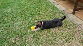 20150522_101209.jpg