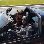 daily-morning-awesomeness-40-photos-6.jpg