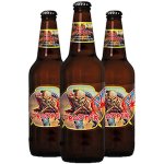 maiden-beer.jpg