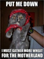 funny-captions-3.jpg