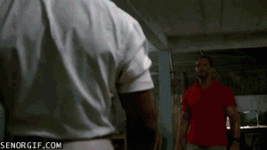 310666.gif