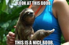 lets-get-a-little-crass-for-a-moment-shall-we-37-photos-3.jpg