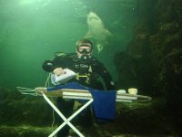 Extreme-ironing-underwater-with-Shark.jpg