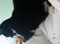20150616_093637.jpg
