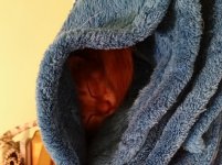 20150616_191323.jpg