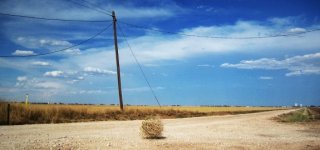 tumbleweed.jpg