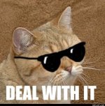 Deal_With_It.jpg Deal_With_It.jpg