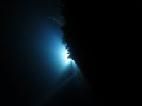 IMG_8879.jpg