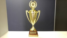 ShowMax investgative journalist of the year trophy.jpg