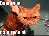 damn-you.jpg