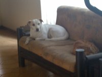 IMG-20130327-00816.jpg