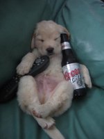 puppy_beer_remote.jpg