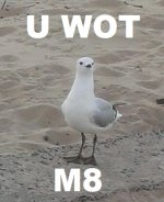 DynpkGc.jpg