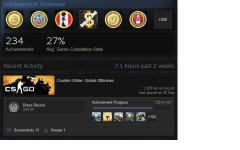 CSGO Hours.png CSGO Hours.png