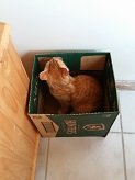 20150929_113154.jpg