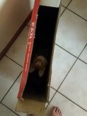 20150929_113121.jpg