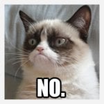 Grumpy-Cat-NO-2.jpg