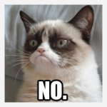 Grumpy-Cat-NO-2.jpg