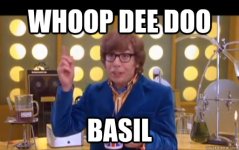 BASIL.jpg